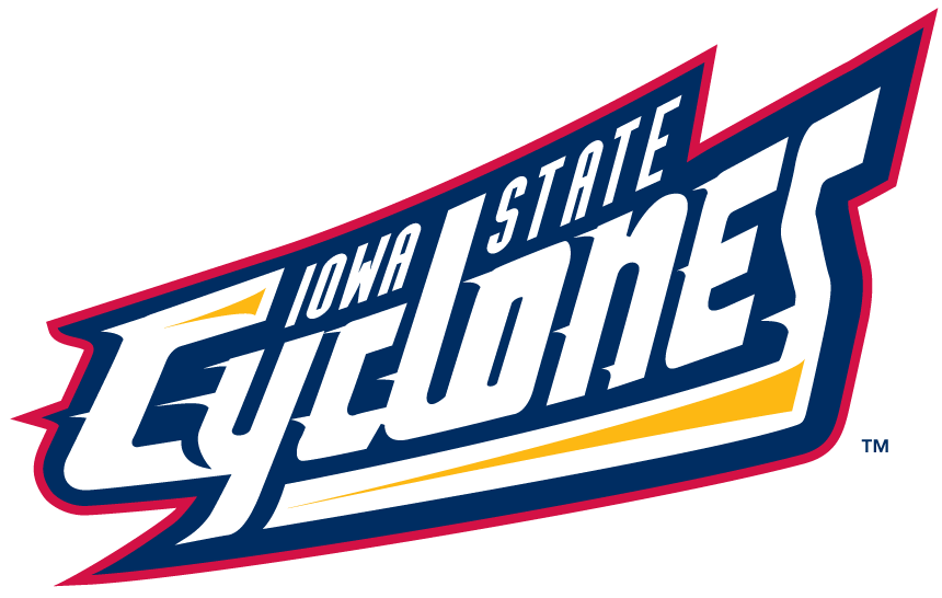 Iowa State Cyclones 1995-2007 Wordmark Logo DIY iron on transfer (heat transfer)